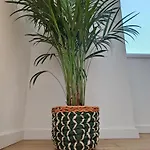 Casa Amarela Vakantiehuis Cortegaça