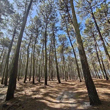 Hébergement de vacances Casa Amarela Cortegaça