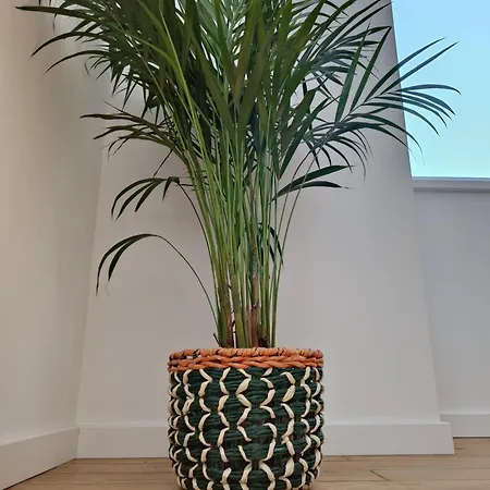 Casa Amarela Сasa de vacaciones Cortegaça