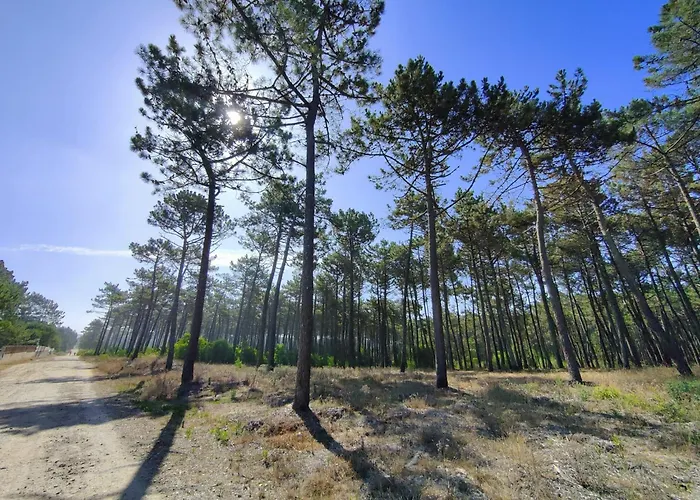 Casa Amarela Feriehus