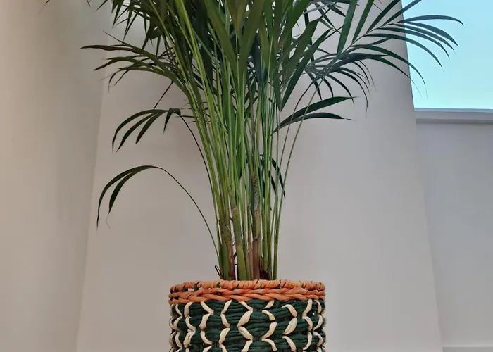 Casa Amarela Feriehus Cortegaça